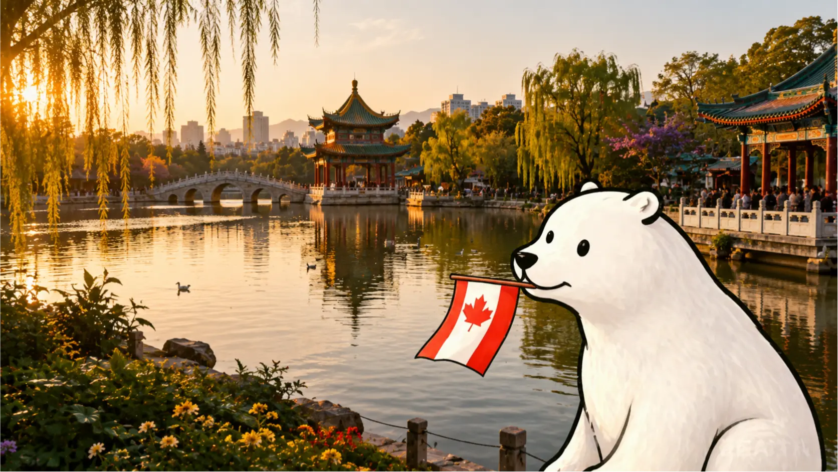 Peut-on préparer le TCF Canada seul ? Quelles parties peut-on travailler en autonomie ?